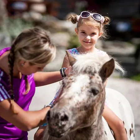 Holzboxen Planneralm