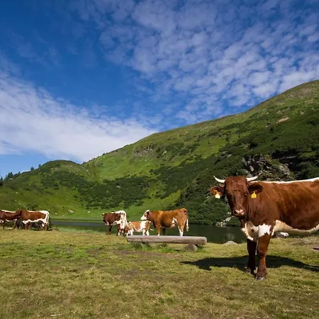 Holzboxen Planneralm