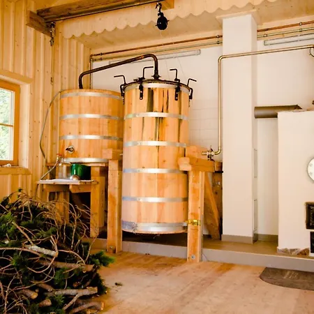 Lejlighed Holzboxen Planneralm