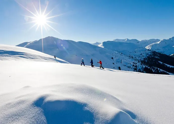 Apartment Holzboxen Planneralm