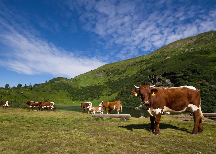 Holzboxen Planneralm