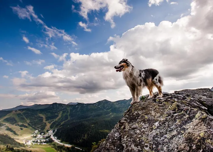 Holzboxen Апартаменты Planneralm